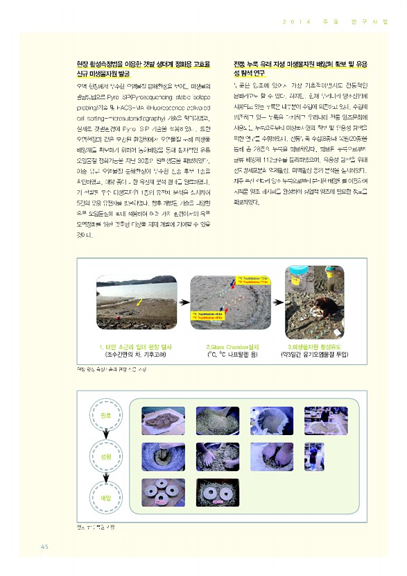 45페이지