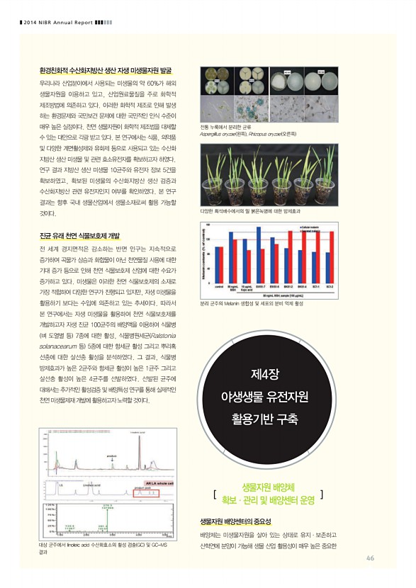 46페이지