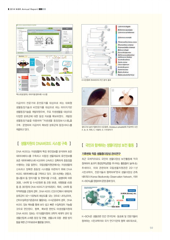 50페이지