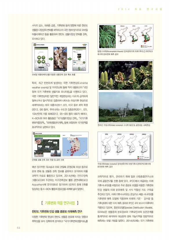 51페이지