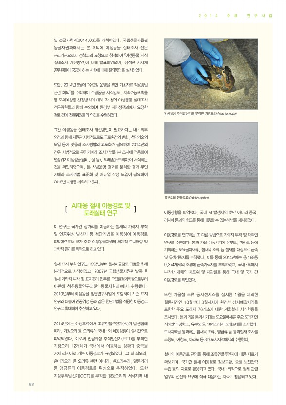 53페이지