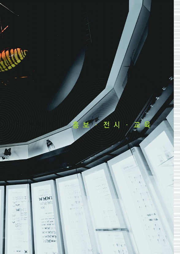 59페이지