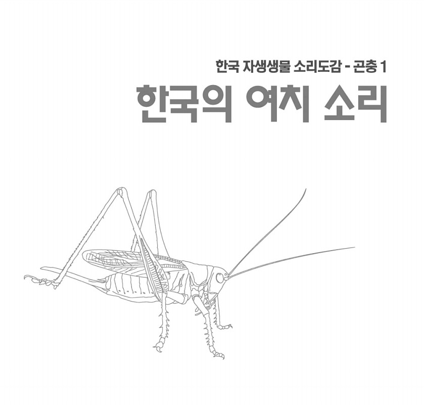 페이지