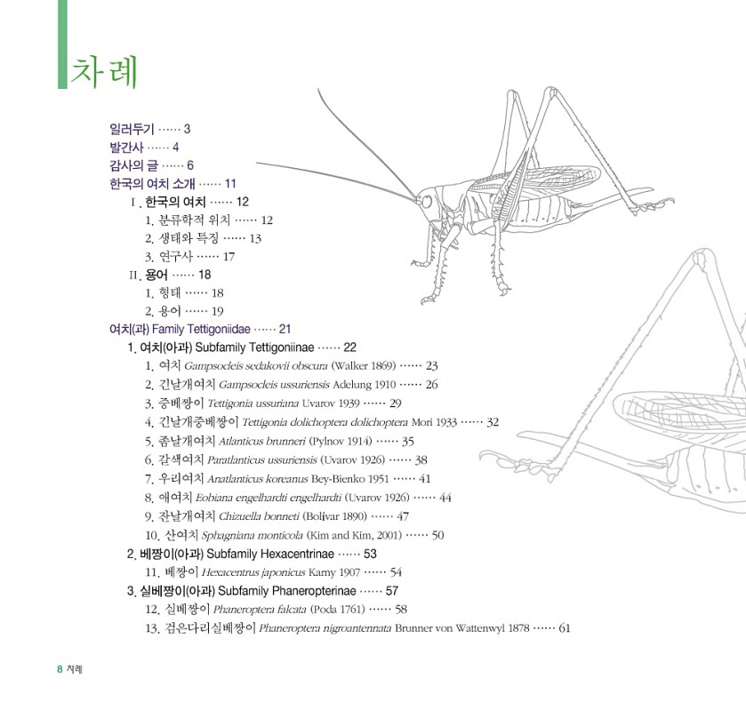 6페이지