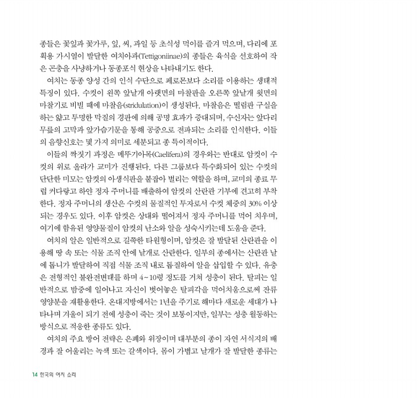 10페이지