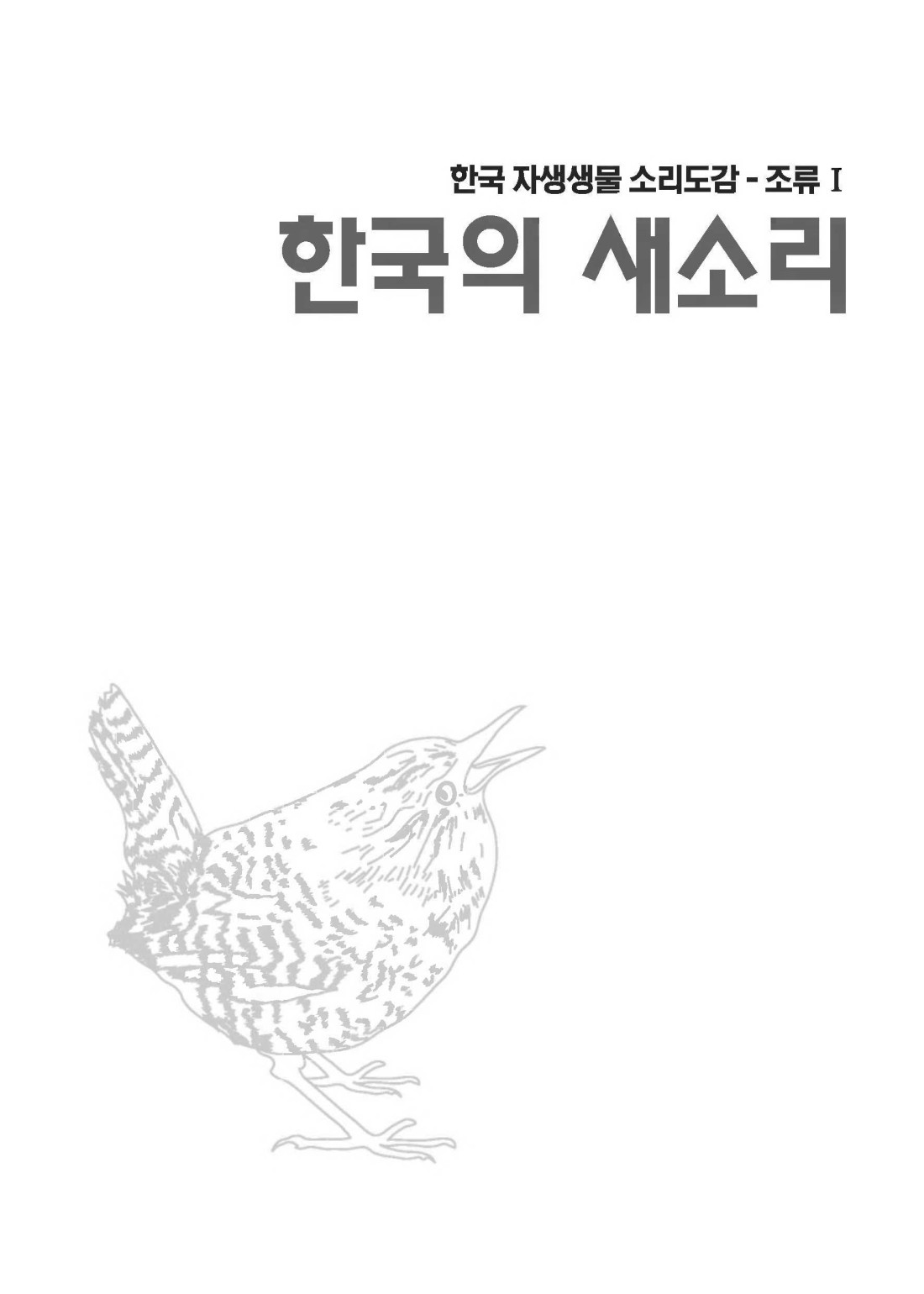 페이지