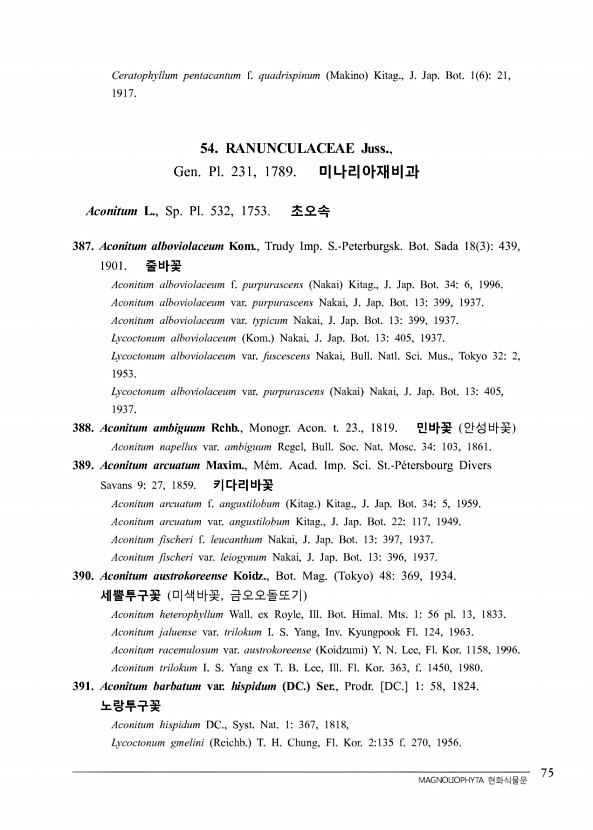 81페이지