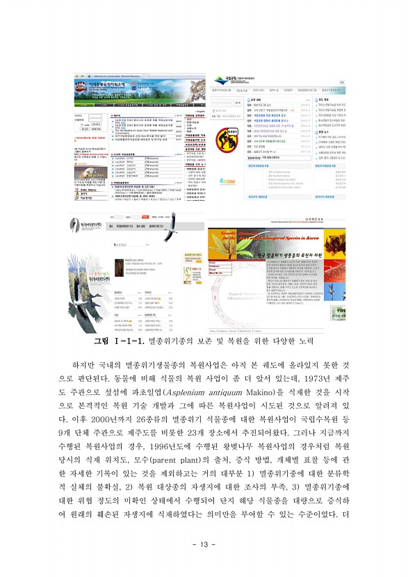 13페이지