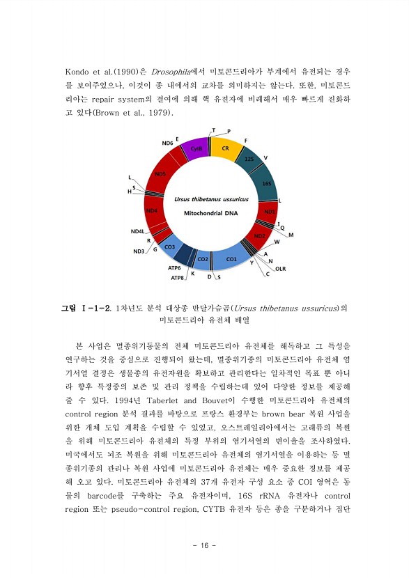 16페이지