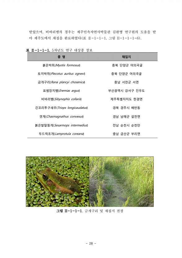 28페이지