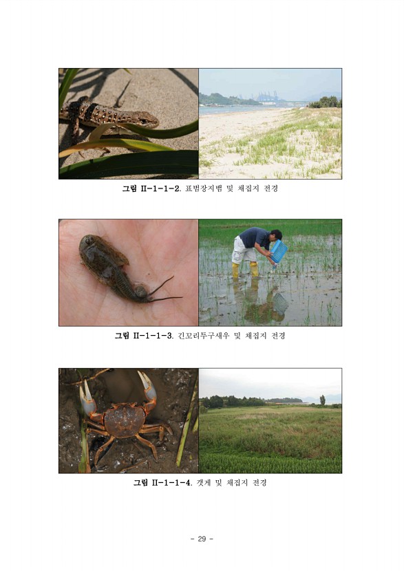 29페이지
