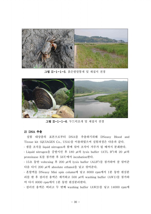 30페이지