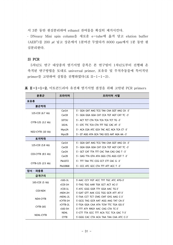 31페이지