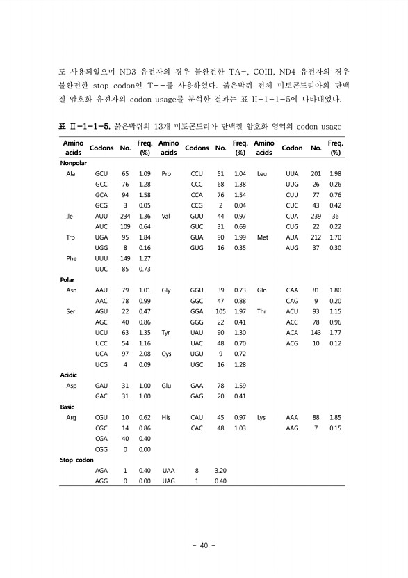 40페이지