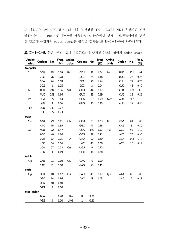 40페이지