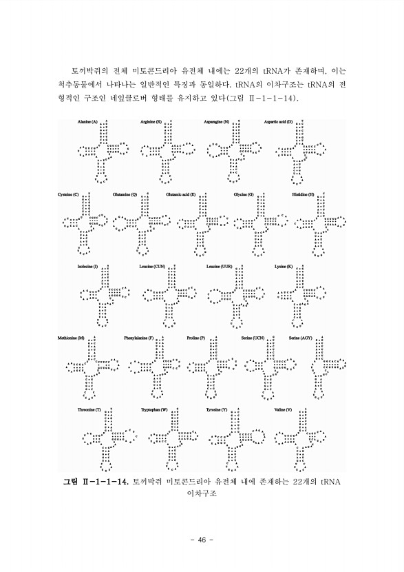 46페이지