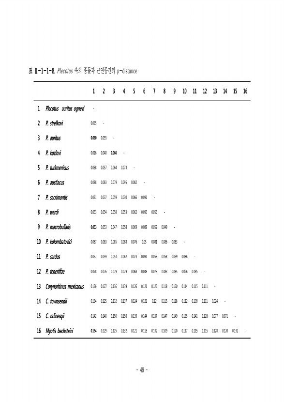 49페이지