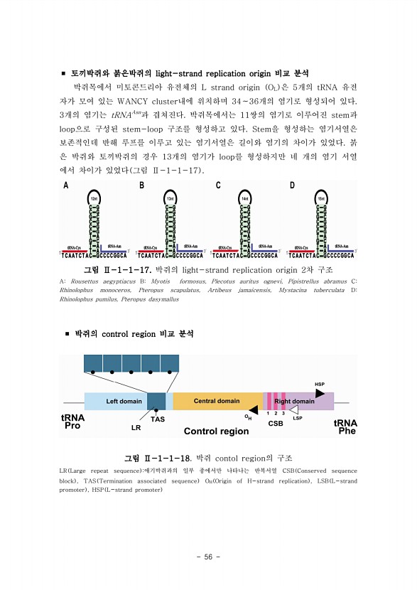 56페이지