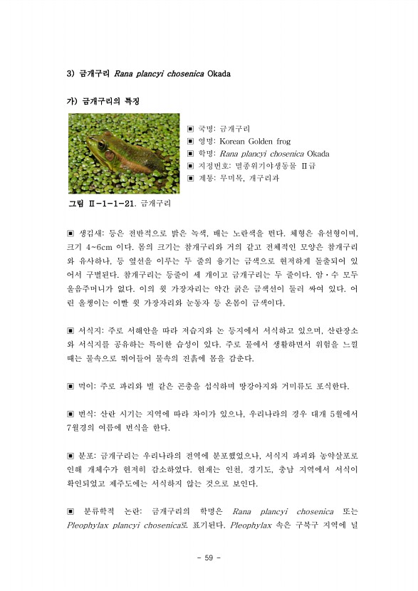 59페이지