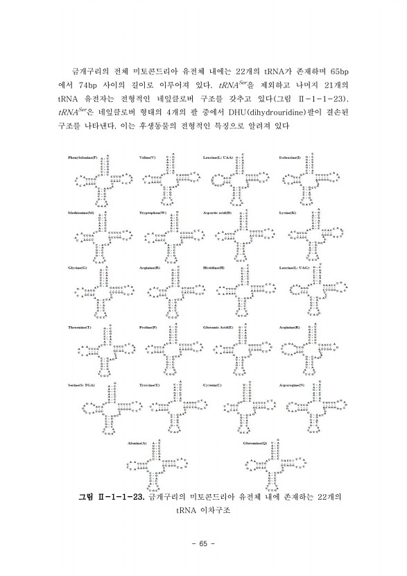 65페이지