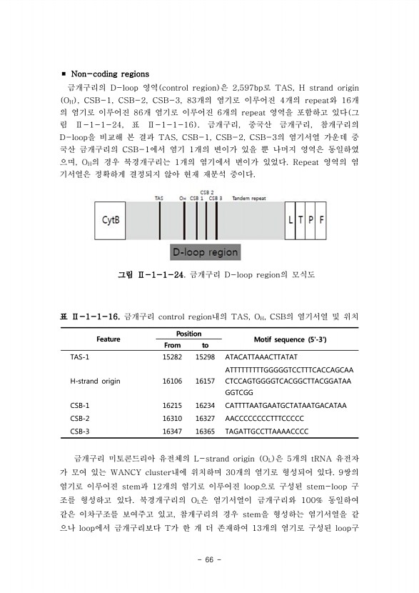 66페이지