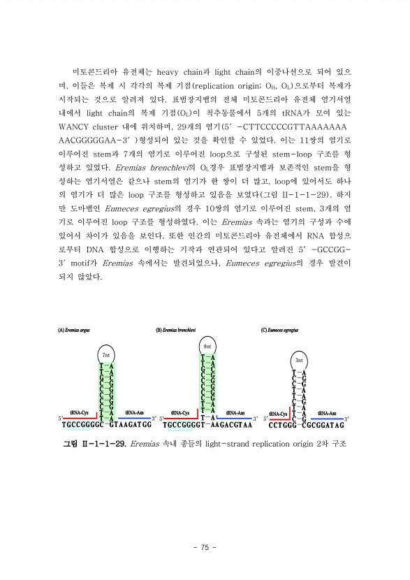 75페이지