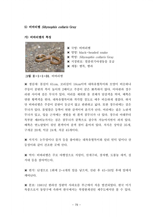 79페이지