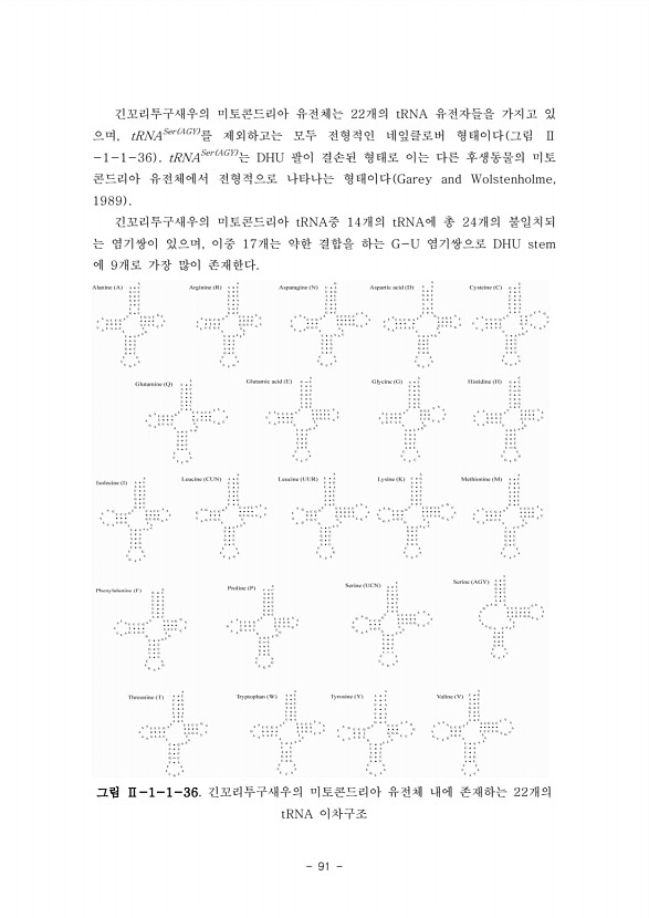 91페이지