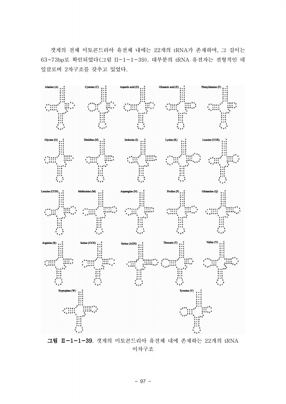 97페이지