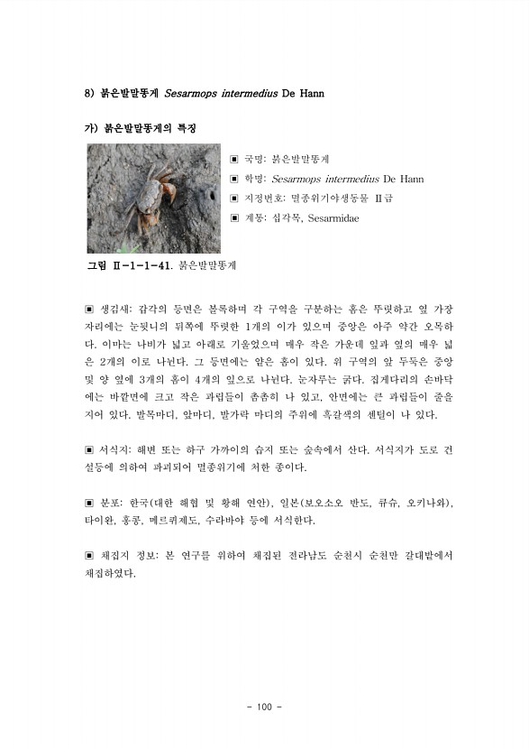 100페이지