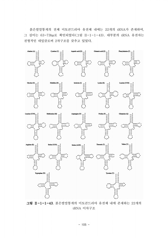105페이지