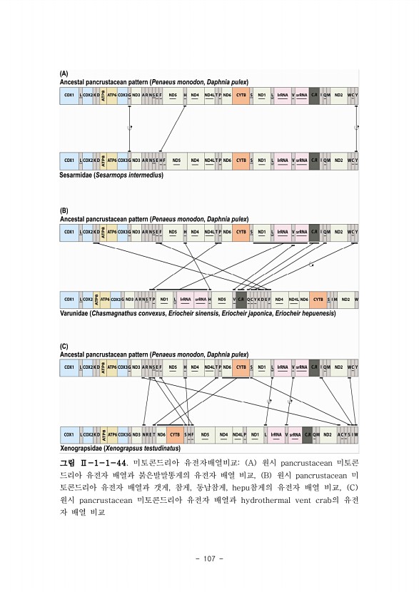 107페이지