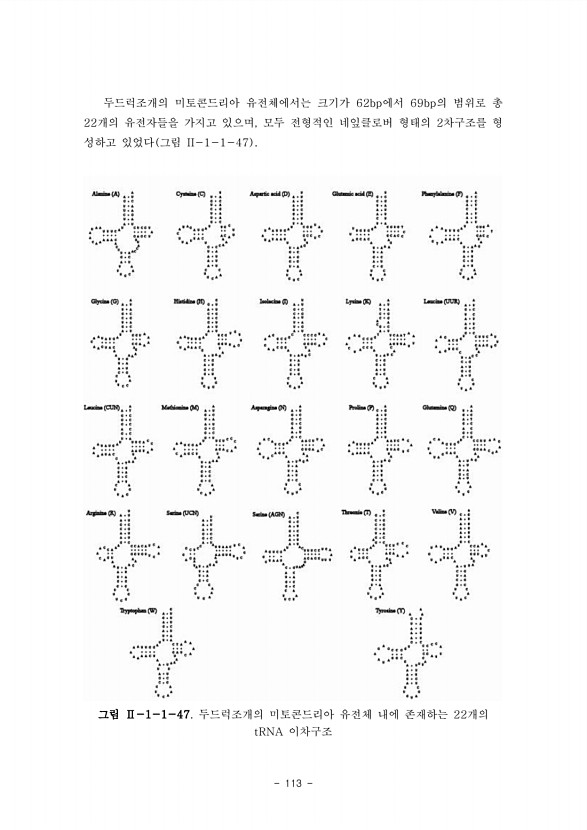 113페이지