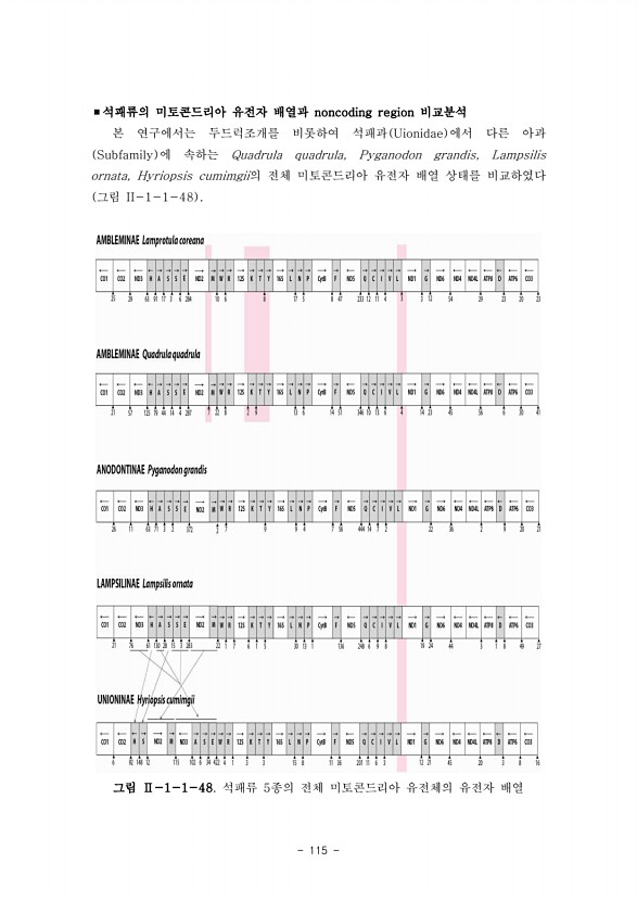 115페이지