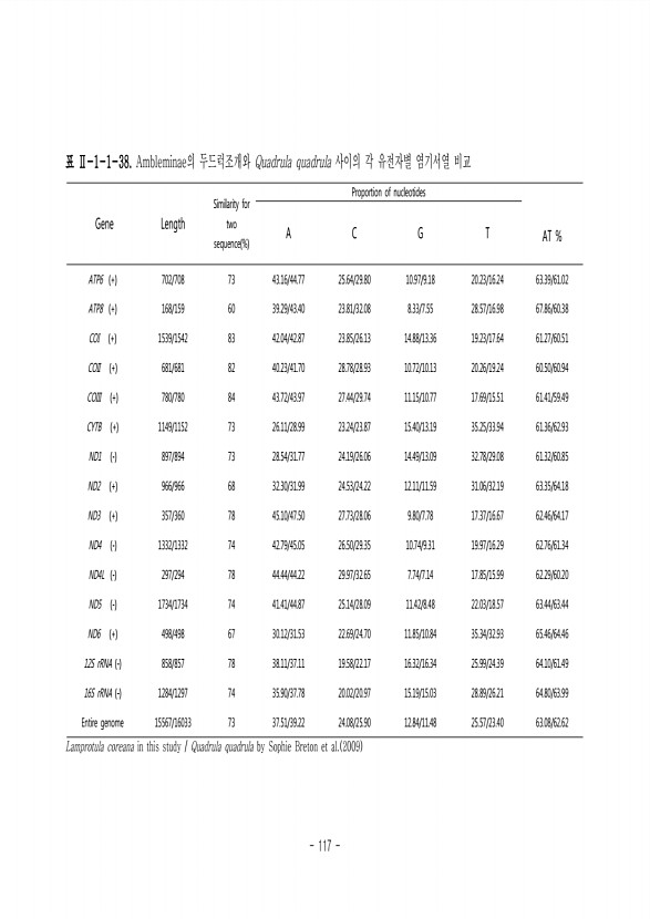 117페이지