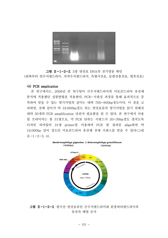 121페이지