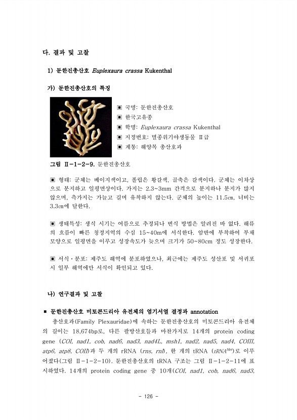 126페이지