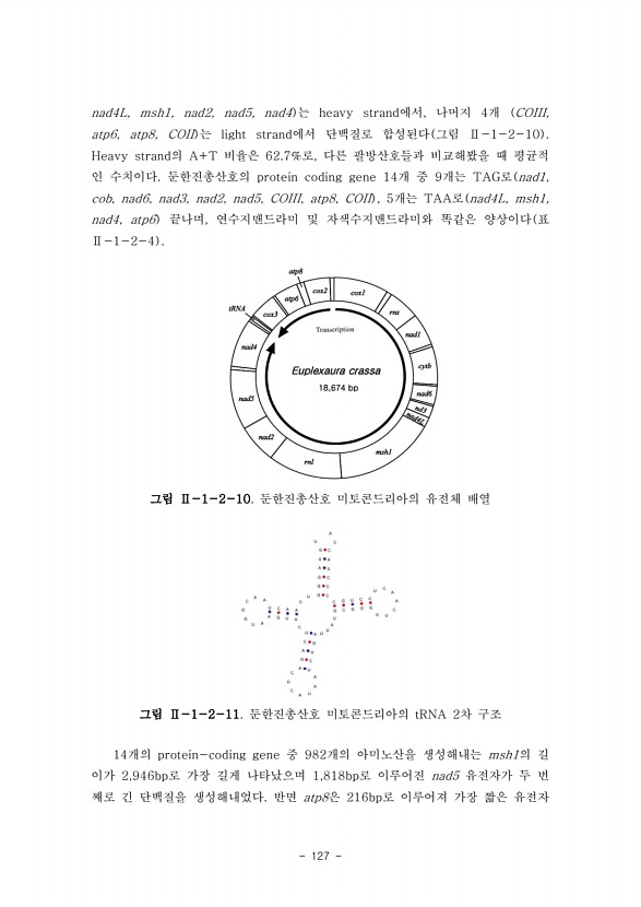 127페이지