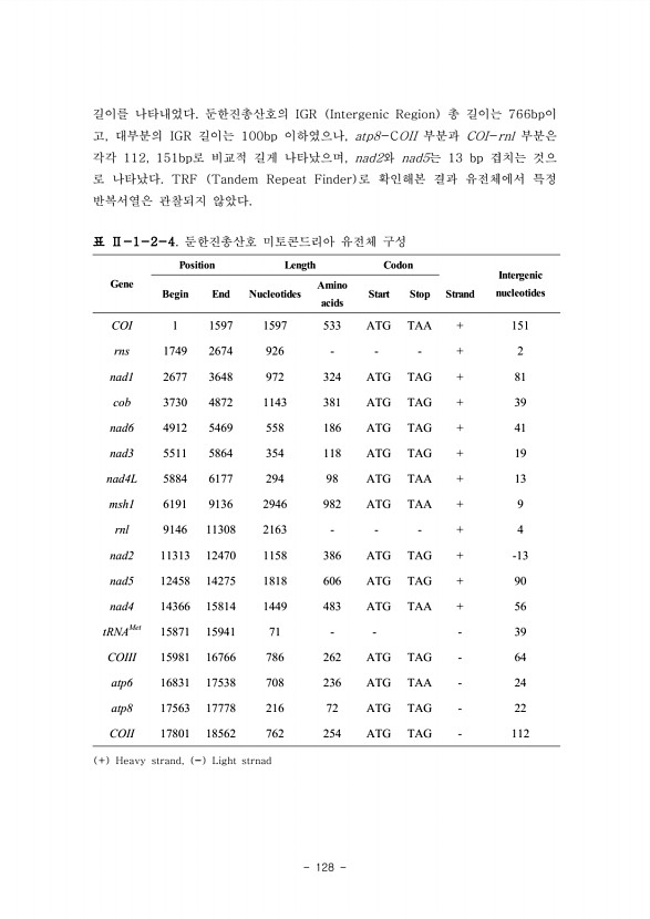128페이지