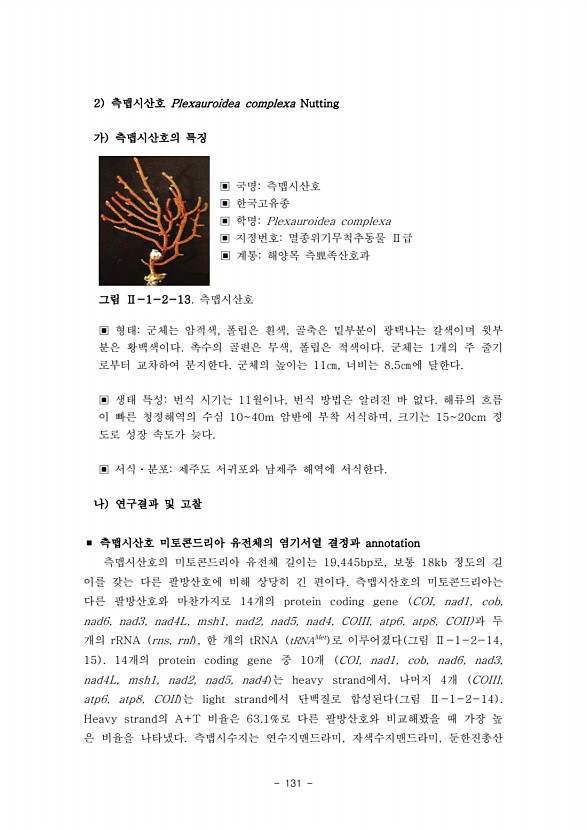 131페이지