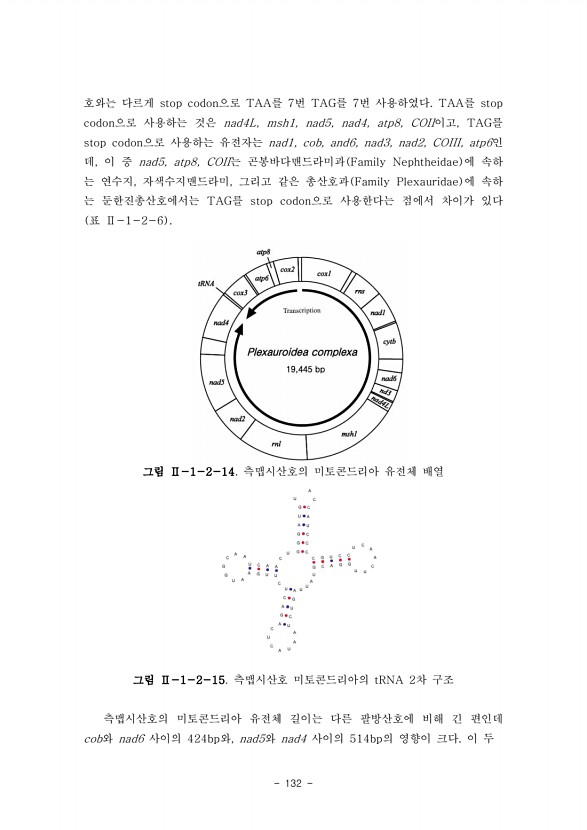 132페이지