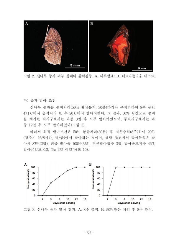 61페이지