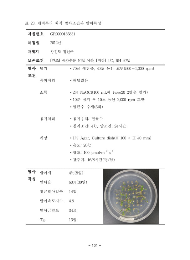 101페이지