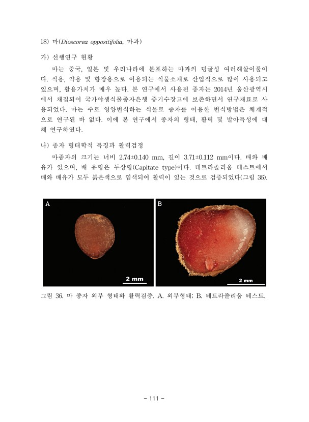 111페이지