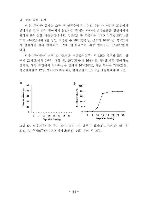 155페이지