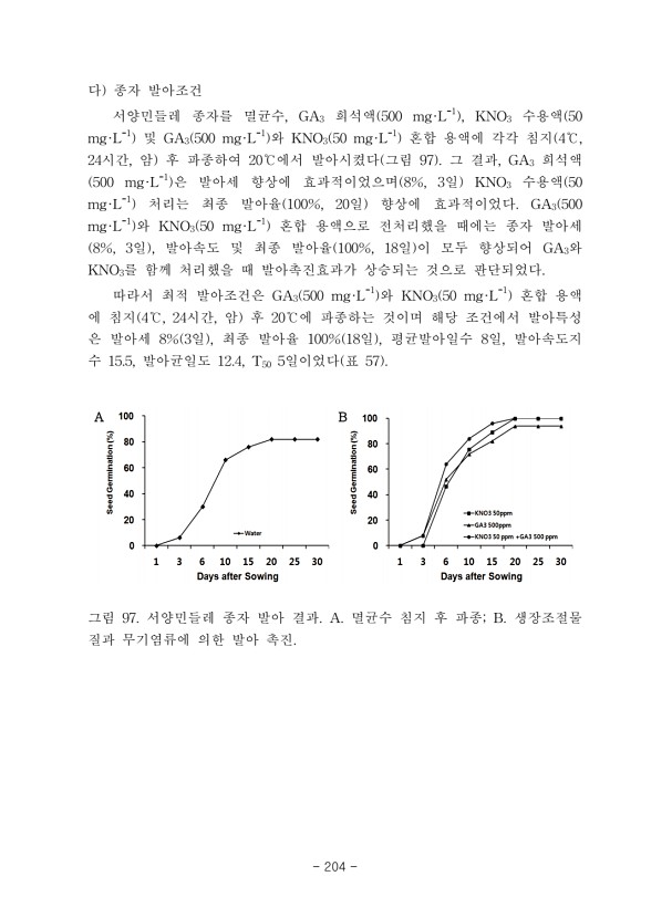 204페이지