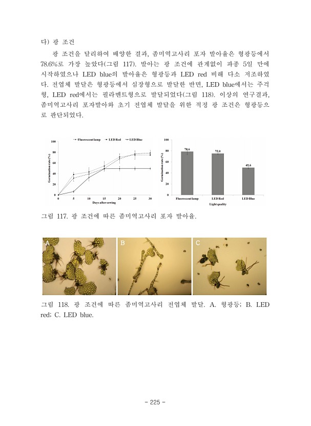 225페이지