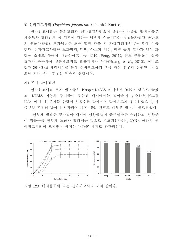 231페이지