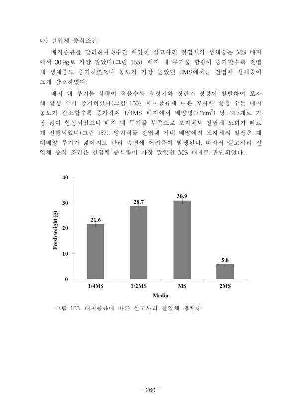 260페이지