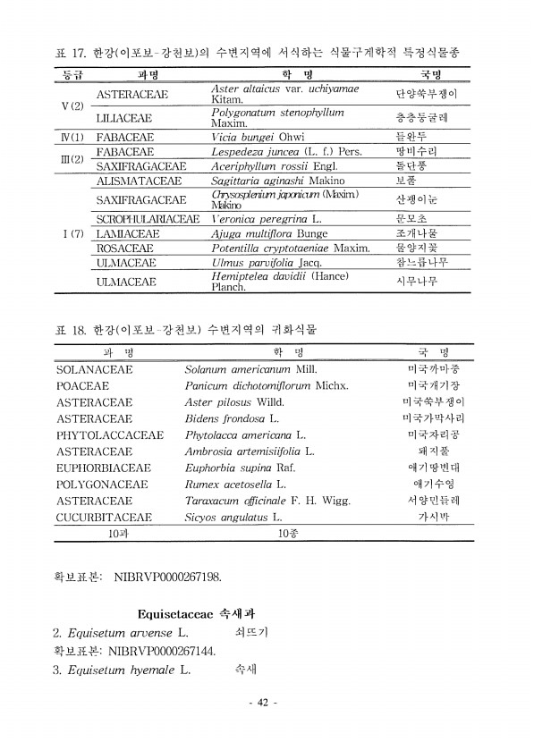 40페이지